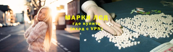 дмт Алзамай